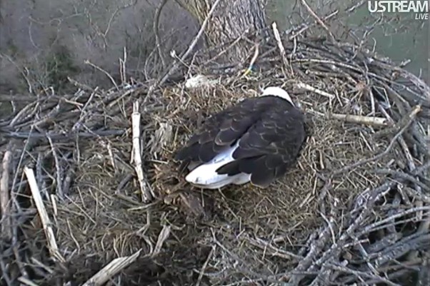 ScreenHunter_02 Mar. 18 20.14.jpg